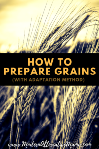 How to Prepare Grains (With Adaptation Method)