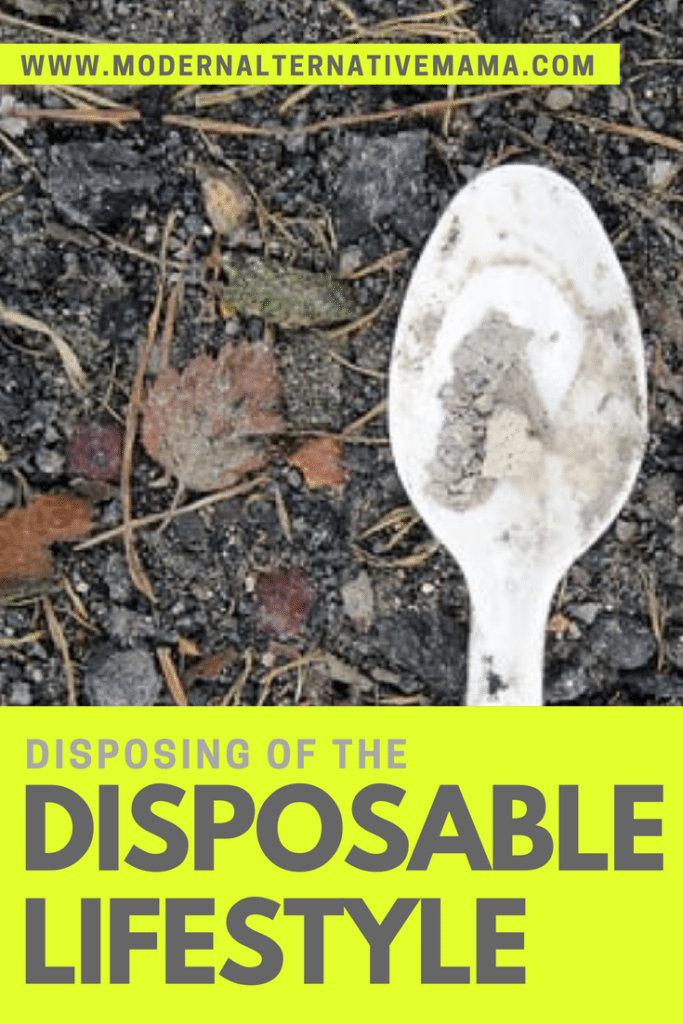 disposing of the disposable lifestyle
