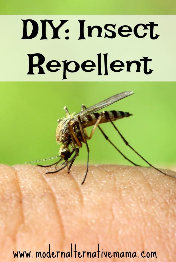 diy insect repellent