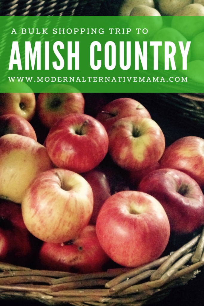 a bulk shopping trip to amish country