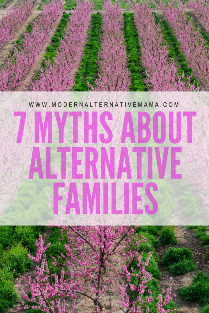 7 Myths About Alternative Families