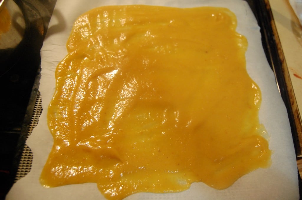 puree on tray