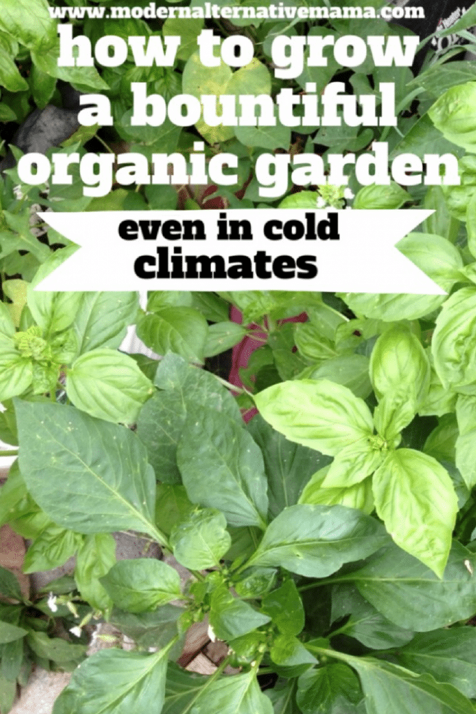 how to grow a bountiful organic garden