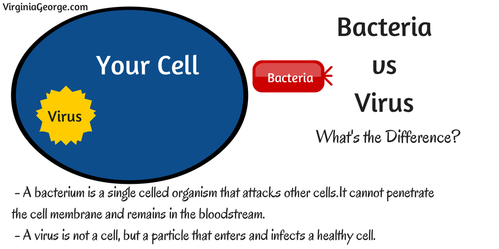 What is the difference between a bacterium and a virus?