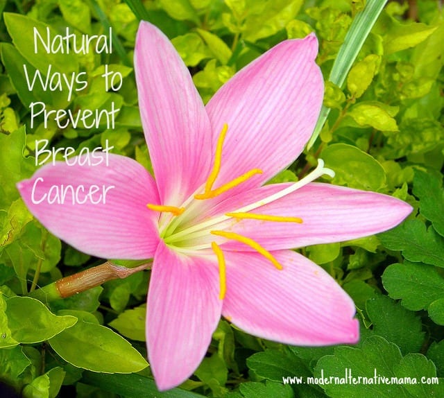 natural ways to prevent breast cancer