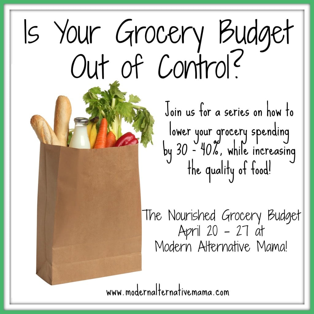 Nourished Grocery Budget 1