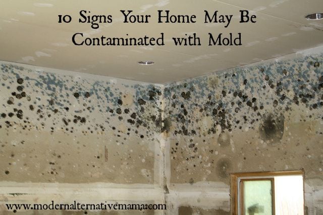 10 signs your home may be contaminated with mold