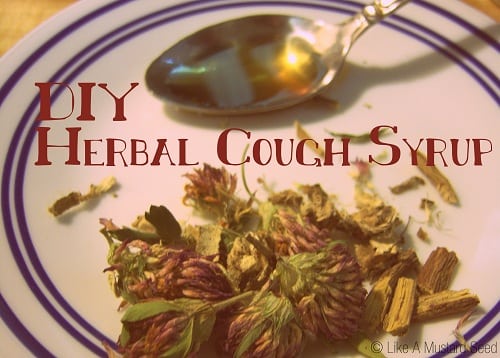 DIY Herbal Cough Syrup by Jasmine Bass - MAH