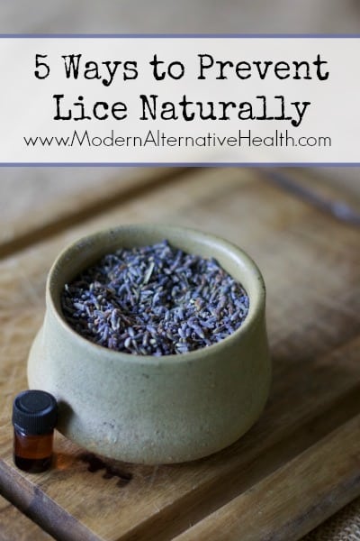 5 Ways to Prevent Lice Naturally MAH
