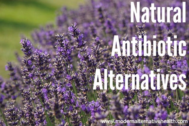 Natural Antibiotic Alternatives