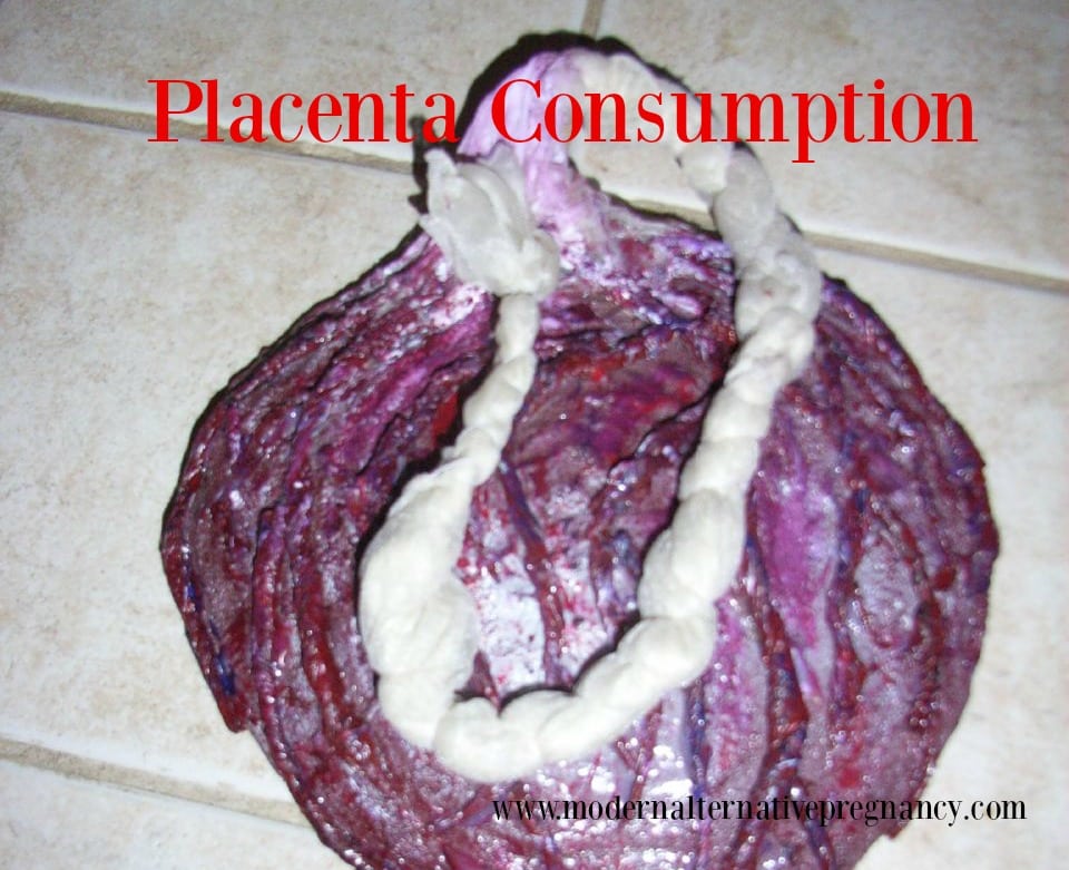Placenta 3