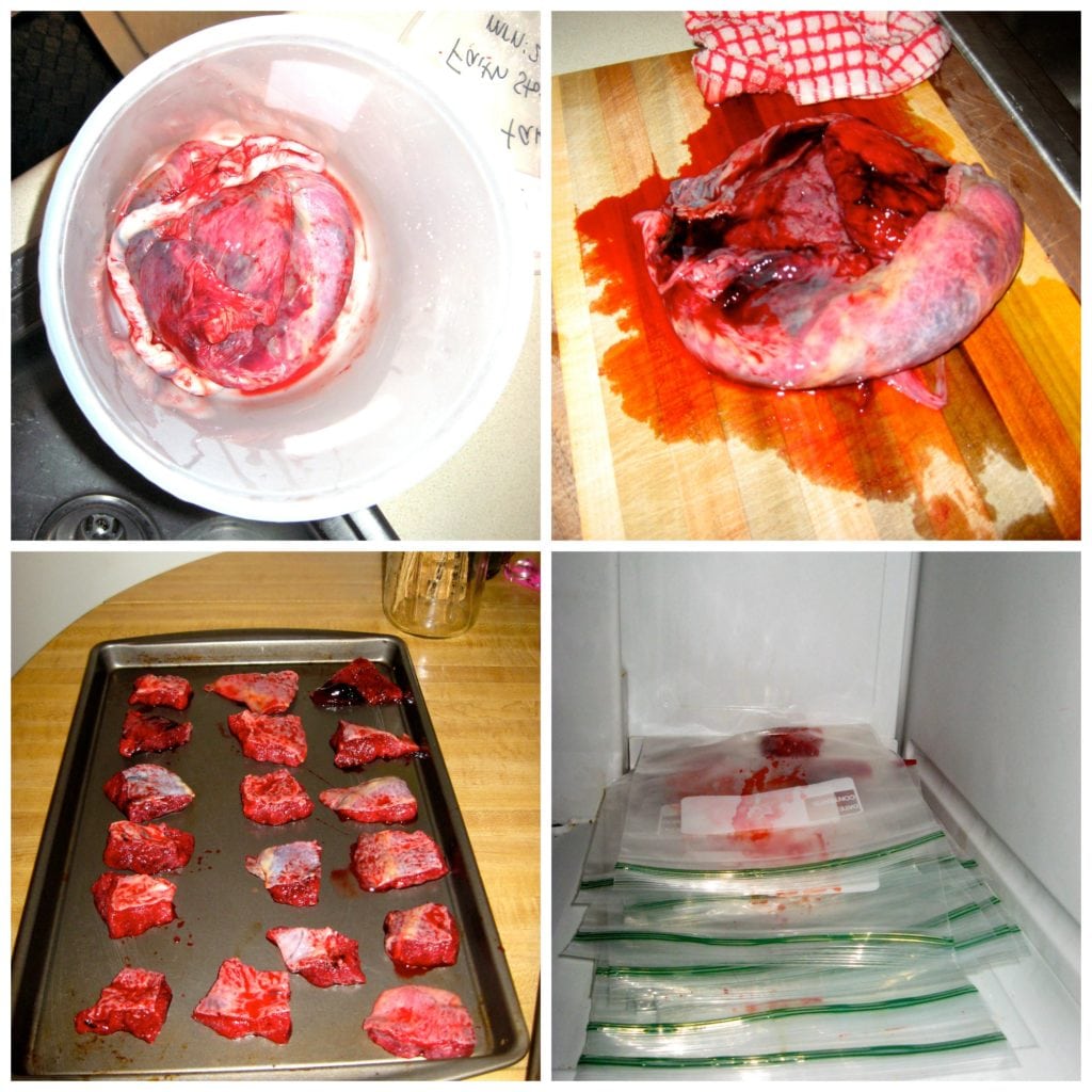 Placenta collage