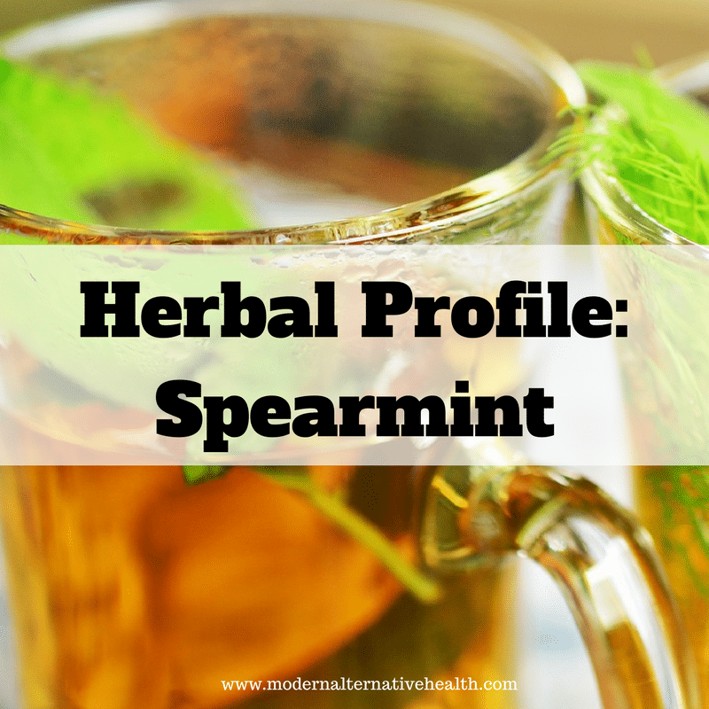 Herbal Profile: Spearmint