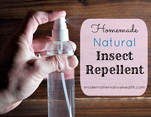 Homemade Natural Insect Repellent