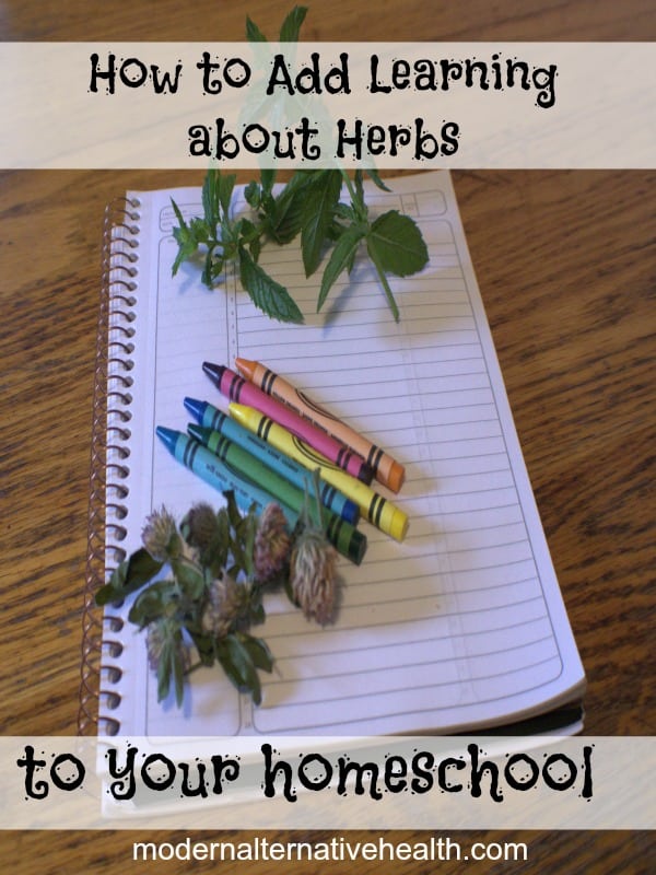How to Add Learning About Herbs in Your Homeschool