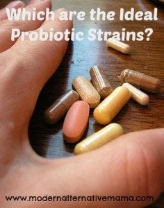 ideal probiotic strains