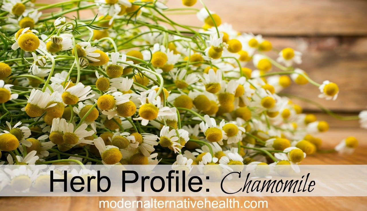 Herb Profile: Chamomile