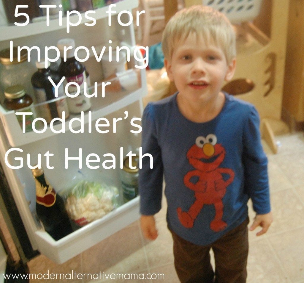 toddler's gut health