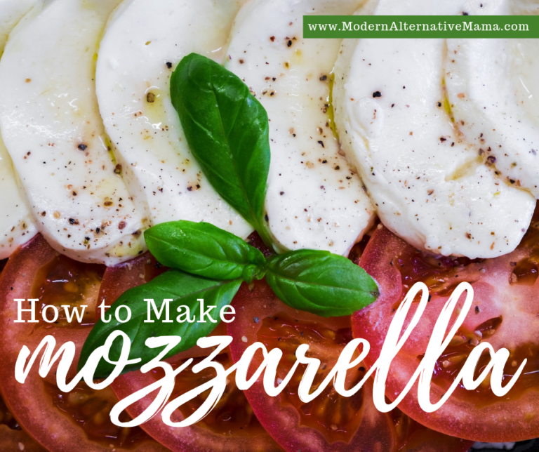 How To Make Mozzarella