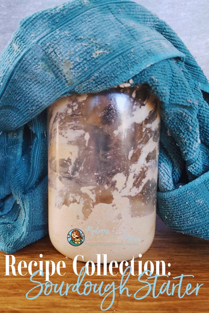Recipe Collection How to Make a Sourdough Starter
