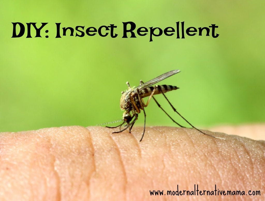 DIY Insect Repellent