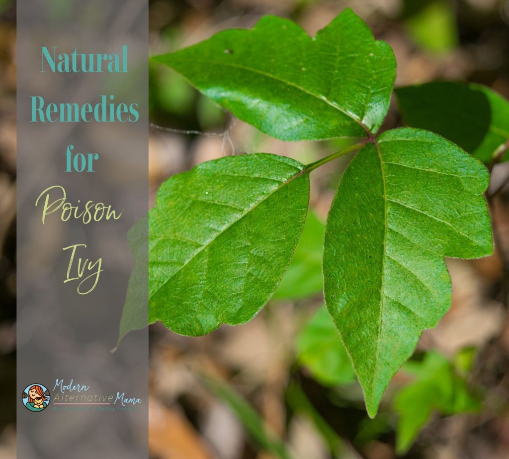 Natural Remedies for Poison Ivy