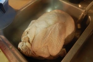 turkey in sink