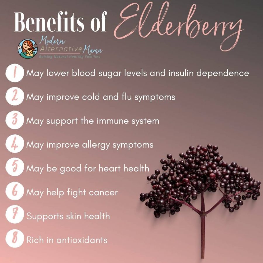 Is Elderberry Really The Best Flu Remedy?
