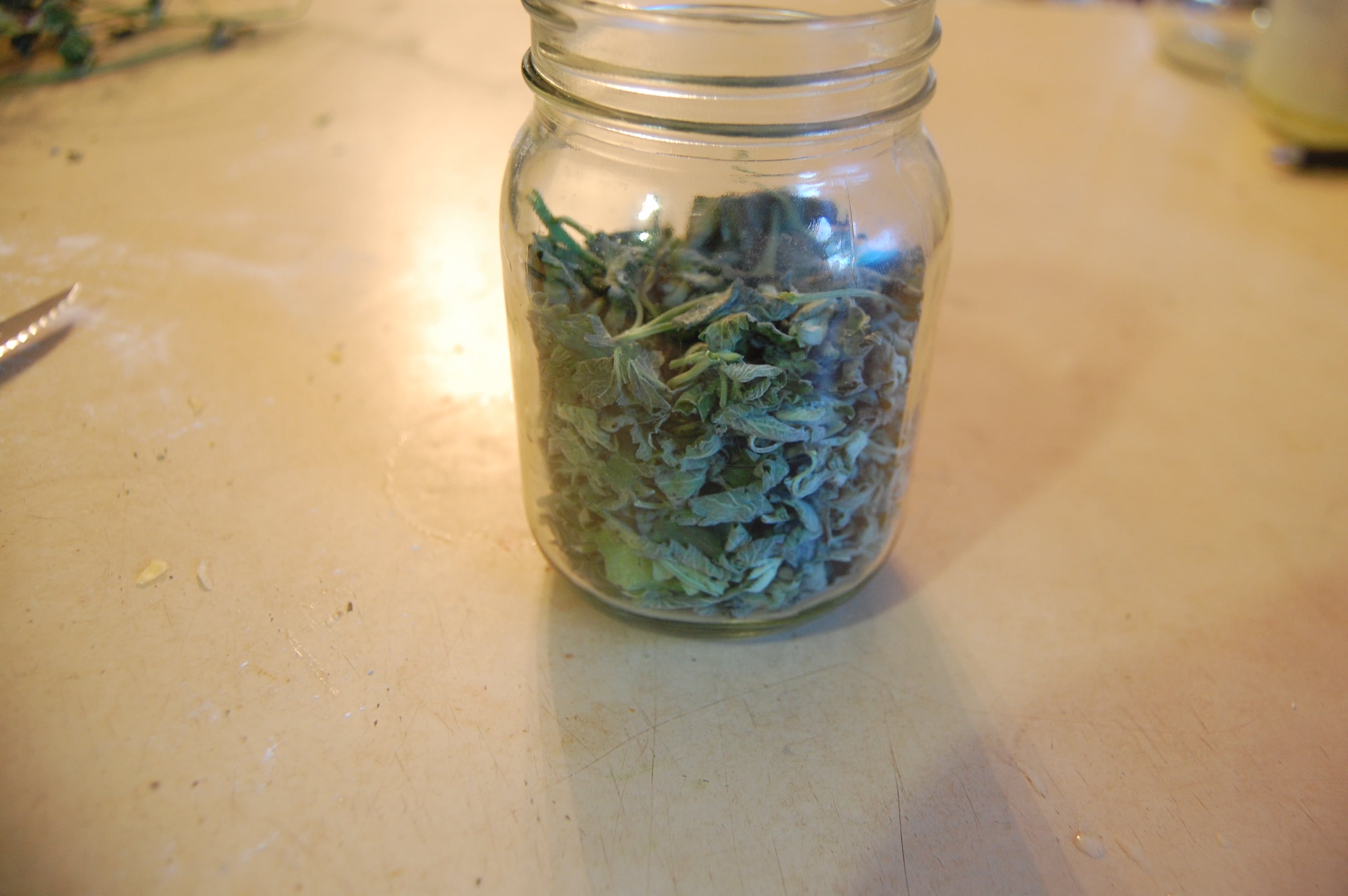 mint leaves in jar
