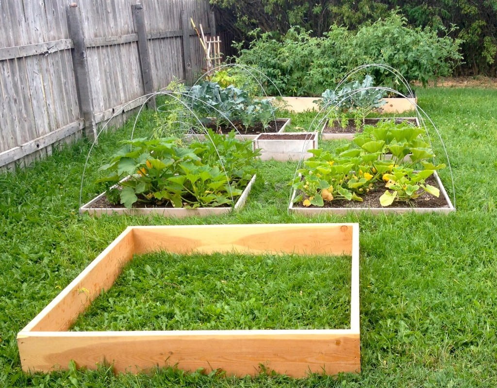 Growing a Bountiful Garden in Cold Climates