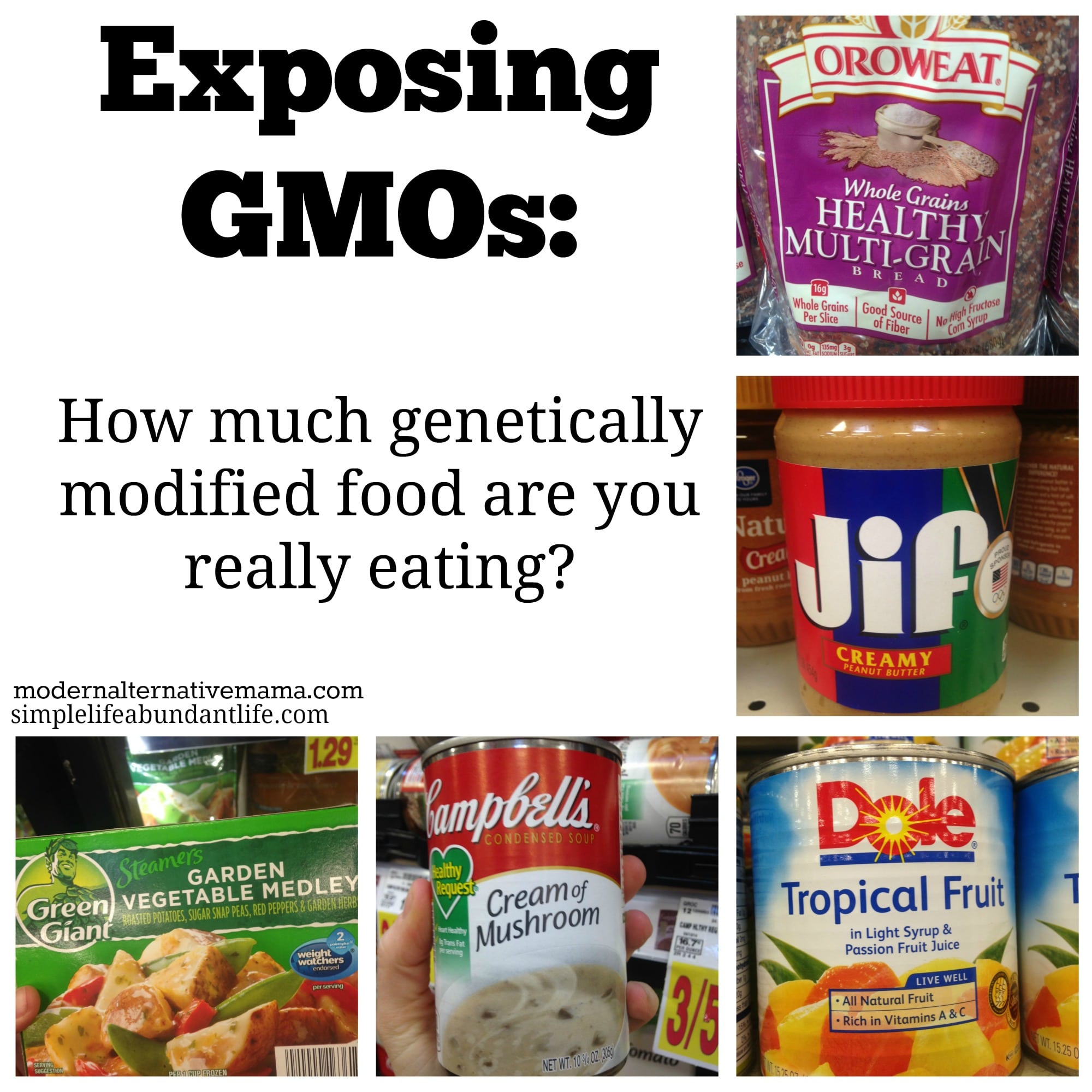 exposing gmos