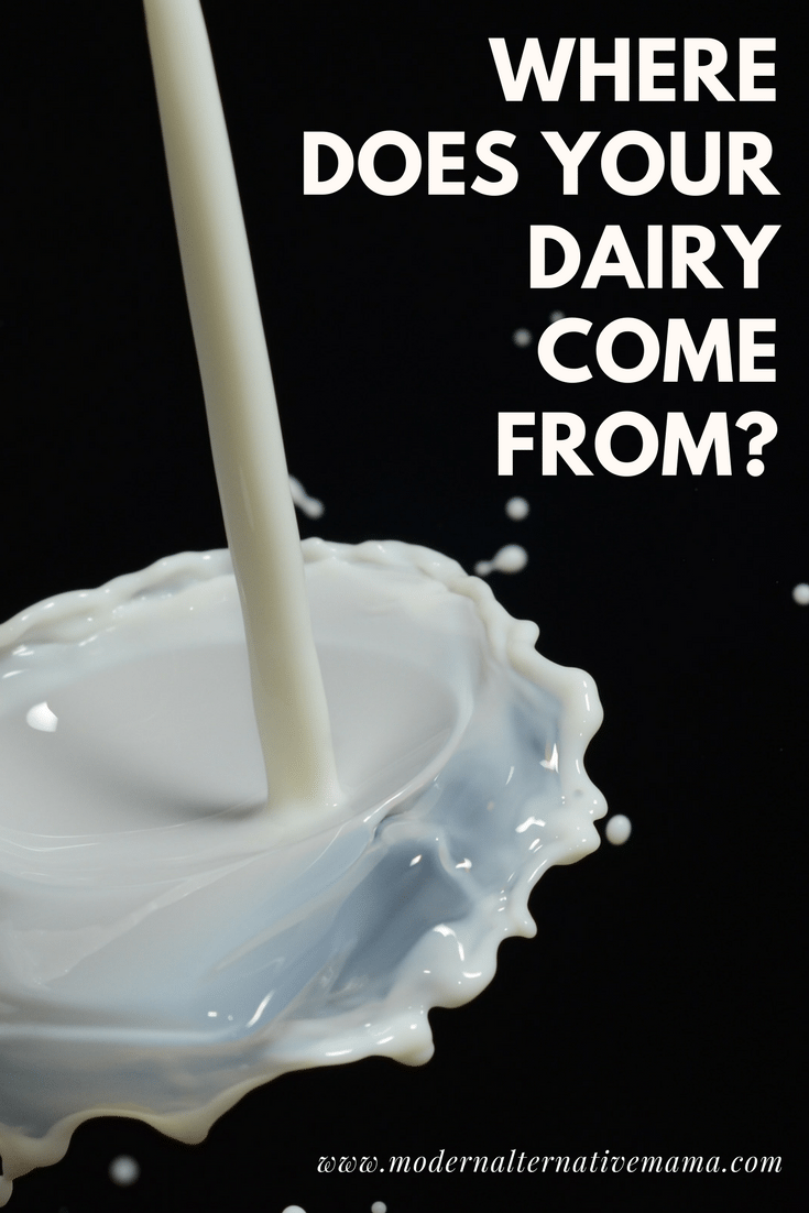 Where Does Your Dairy Come From?