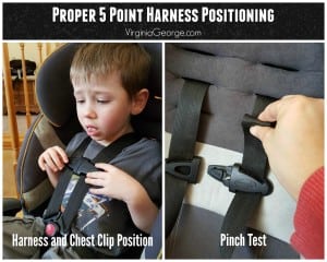 Proper 5 point harness positioning. | Virginia George