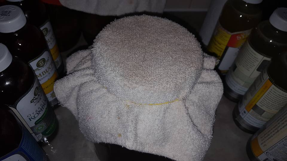 Herbal Kombucha Why You Need to Try It {Recipe}