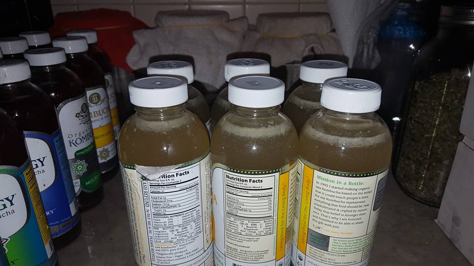 Herbal Kombucha Why You Need to Try It {Recipe}