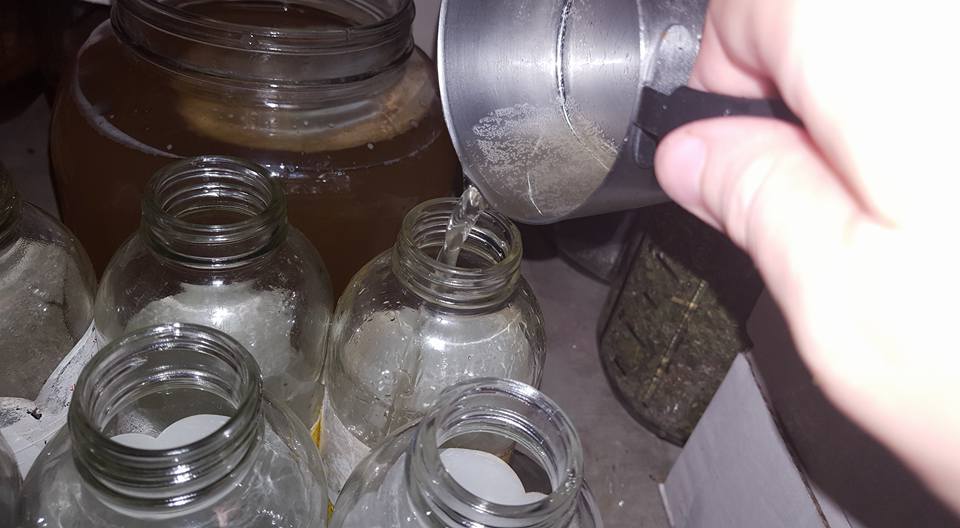 Herbal Kombucha Why You Need to Try It {Recipe}