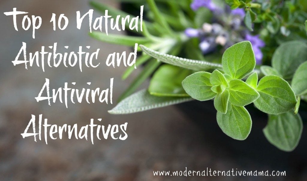 Top 10 Natural Antibiotic and Antiviral Alternatives Modern