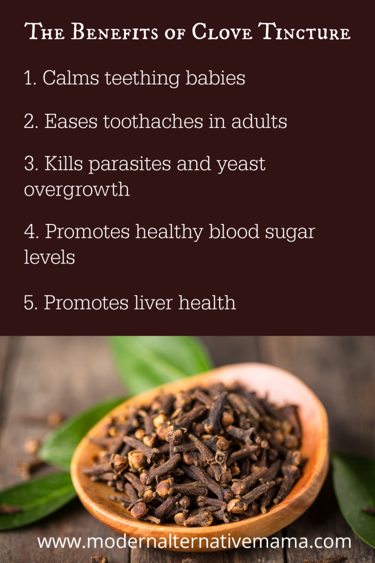 Why Clove Tincture is Safer Than Clove Essential Oil
