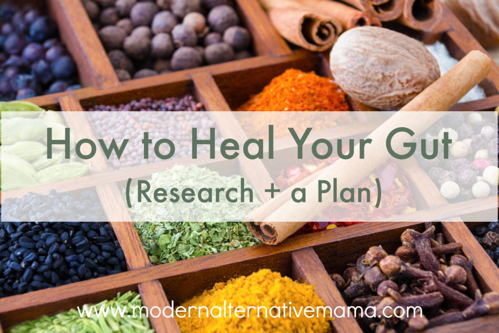 How to Heal Your Gut (Research + a Plan)