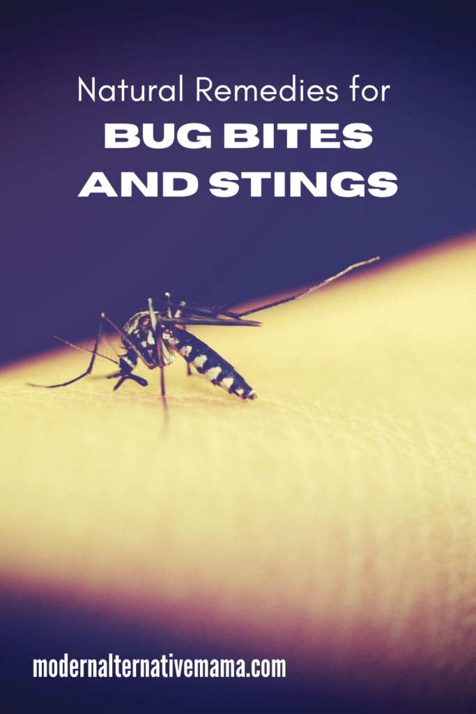 Natural Remedies for Bug Bites and Stings (1)