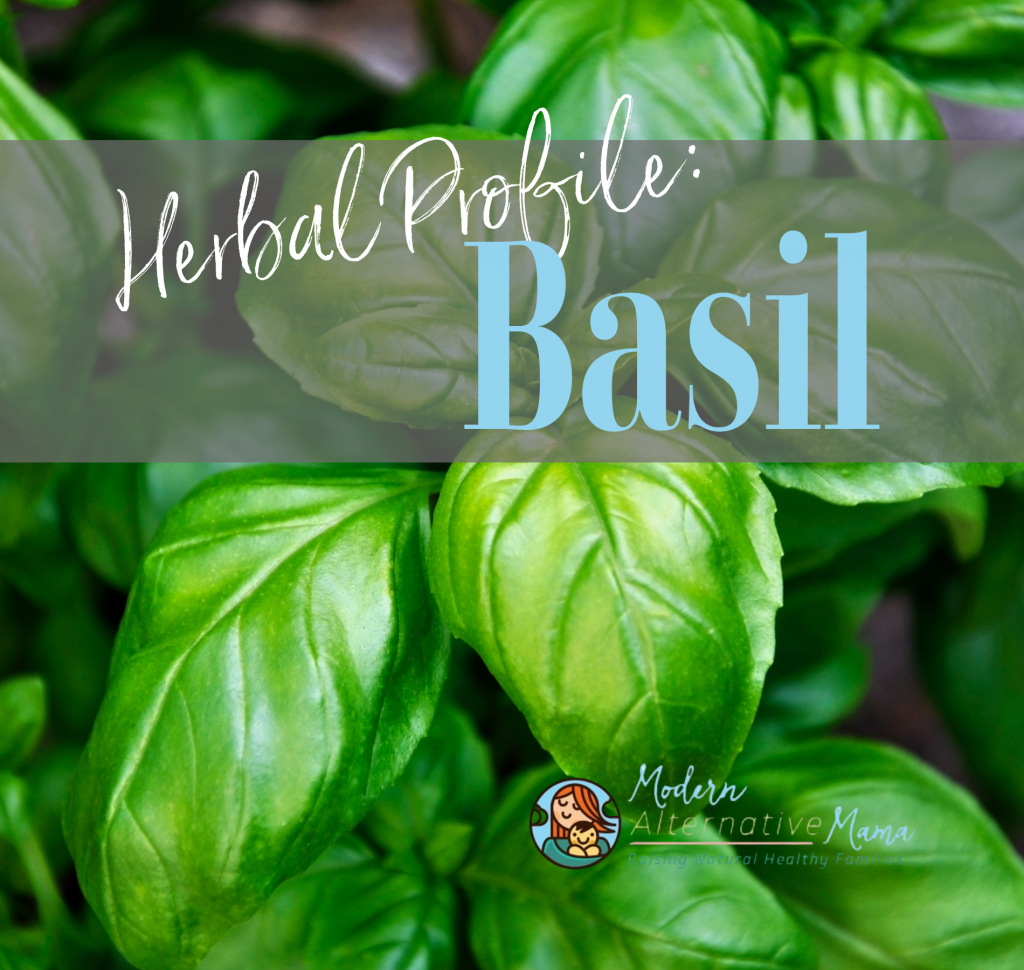 Herbal Profile: Basil