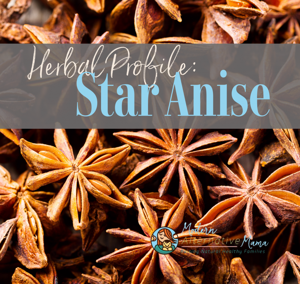 Herbal Profile: Star Anise