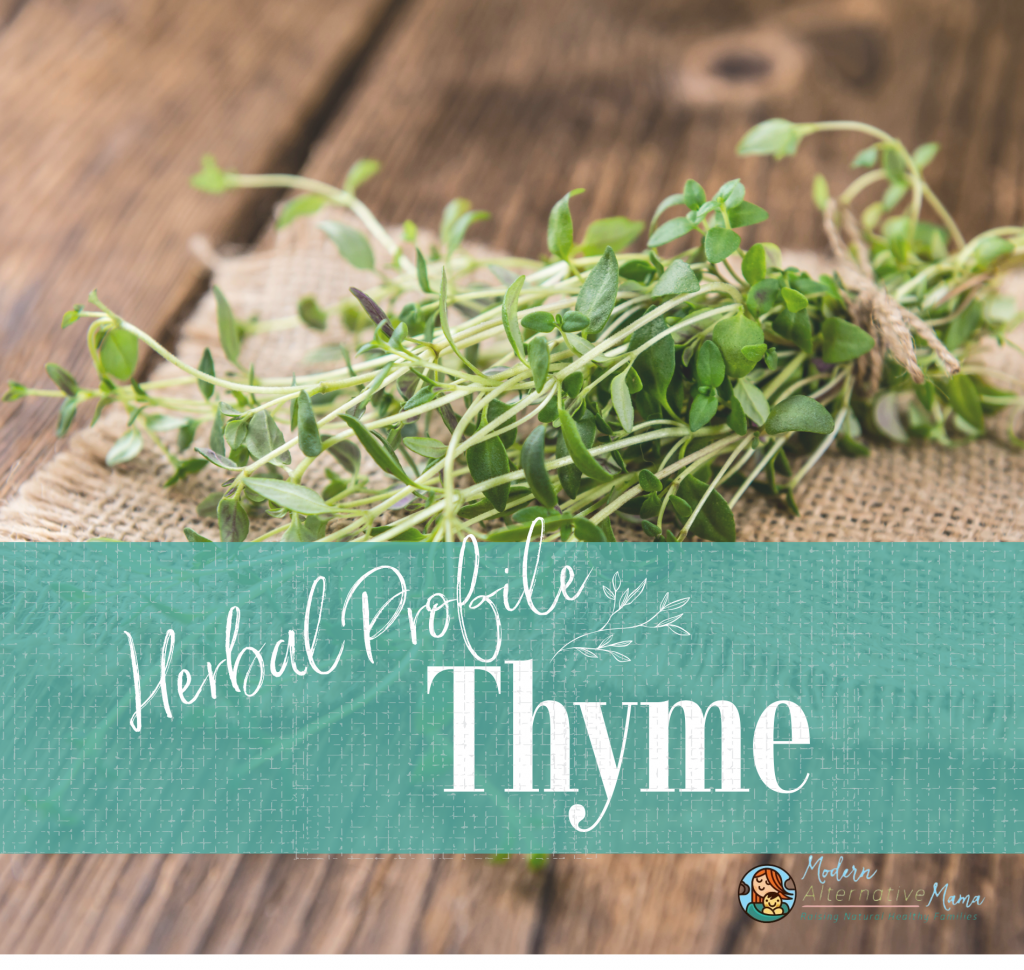 Herbal Profile: Thyme